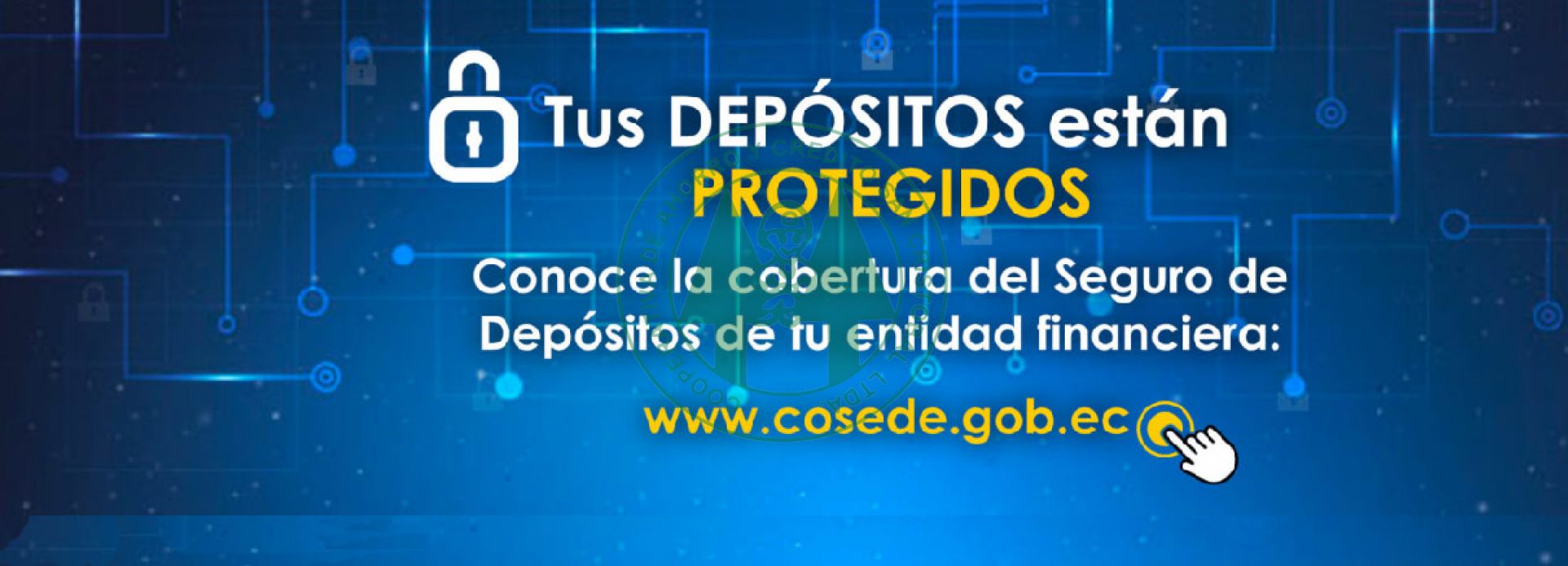 COSEDE 7